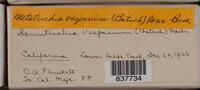 Image Associated With the Occurence